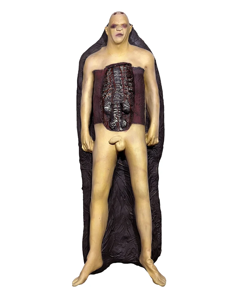Männliche Leichenpuppe John Doe