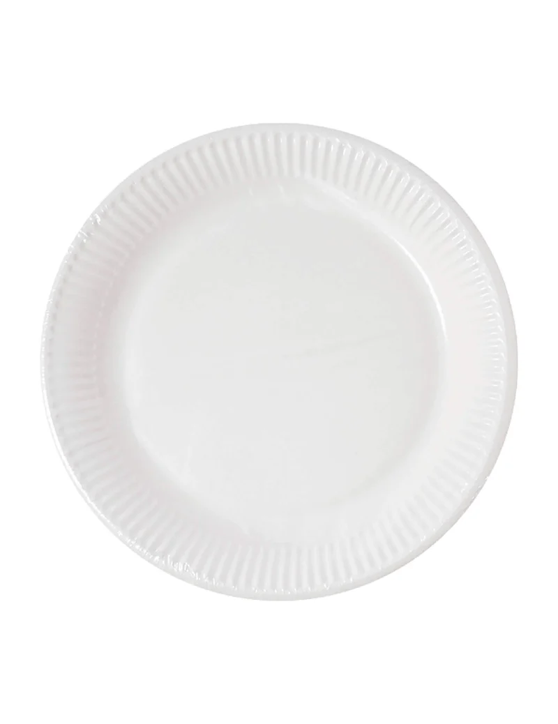 10 weiße, heimkompostierbare Pappteller 23 cm für die Party