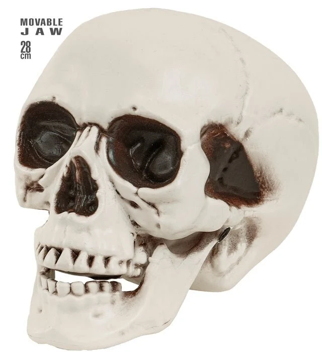 Halloween Schädel mit beweglichem Kiefer 28cm