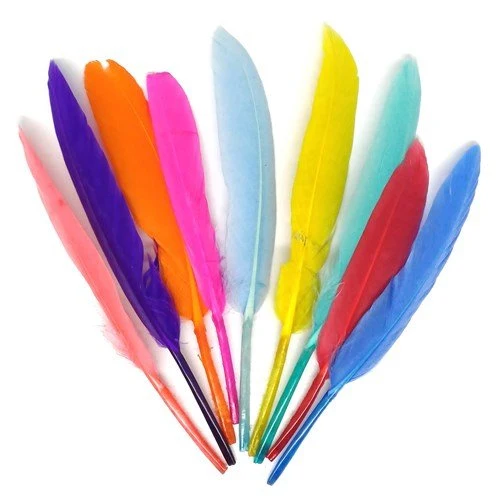 Bunte Federn 12cm 100Stück