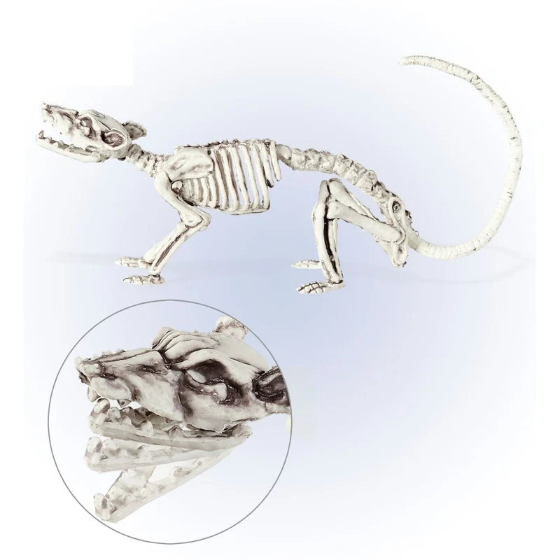 Halloween Skelett Ratte