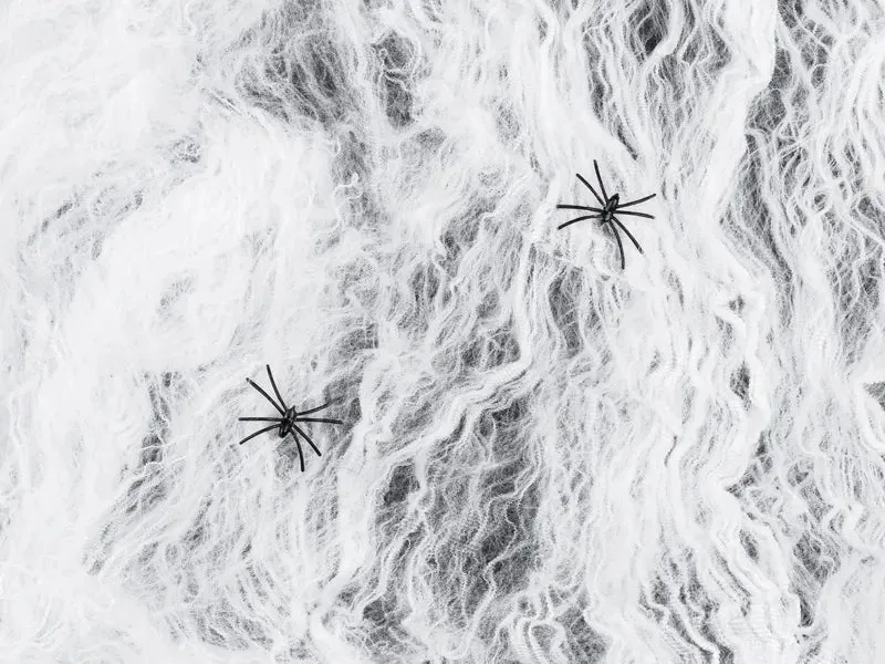 Halloween Spinnennetz Weiß Mit 2 Schwarzen Spinnen 200gr