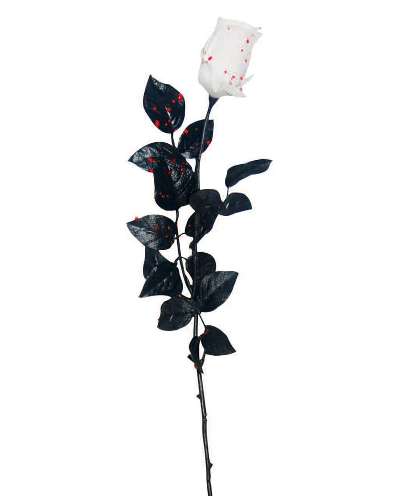 Weiße Rose mit Blutspritzern