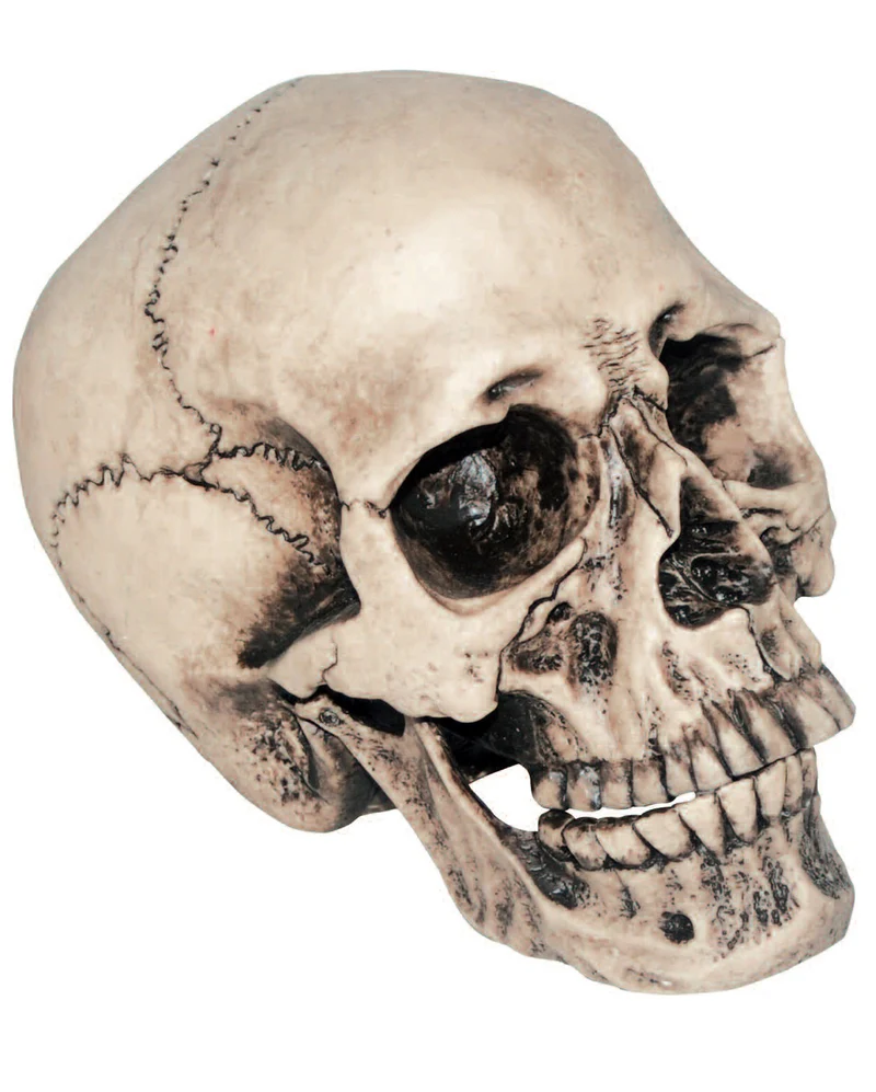 Anthropo Totenkopf