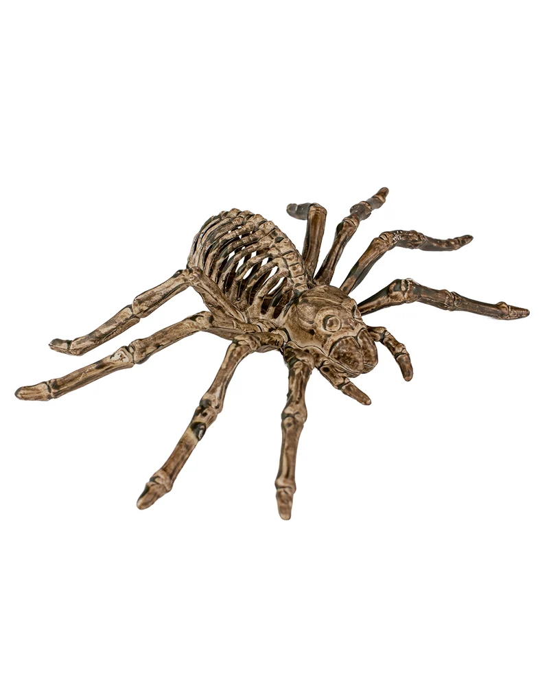 Spinnen Skelett 24cm