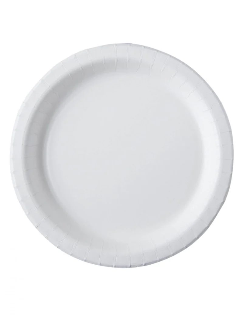 20 weiße kompostierbare Pappteller 26 cm