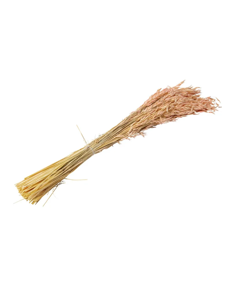 Rosa getrockneter Haferstrauß 100 g 73 cm Bohème-Dekoration