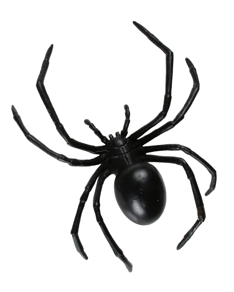 Große Schwarze Witwe