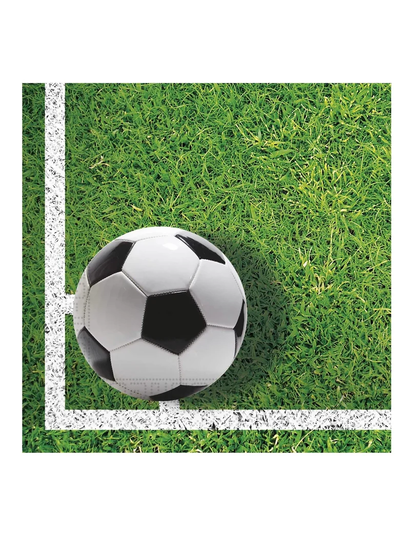 20 Fußball Party Papierservietten 33 x 33 cm Fußballfeld