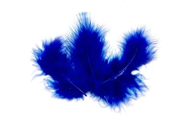 20 königsblaue Dekofedern 10 x 4 cm für Hochzeiten