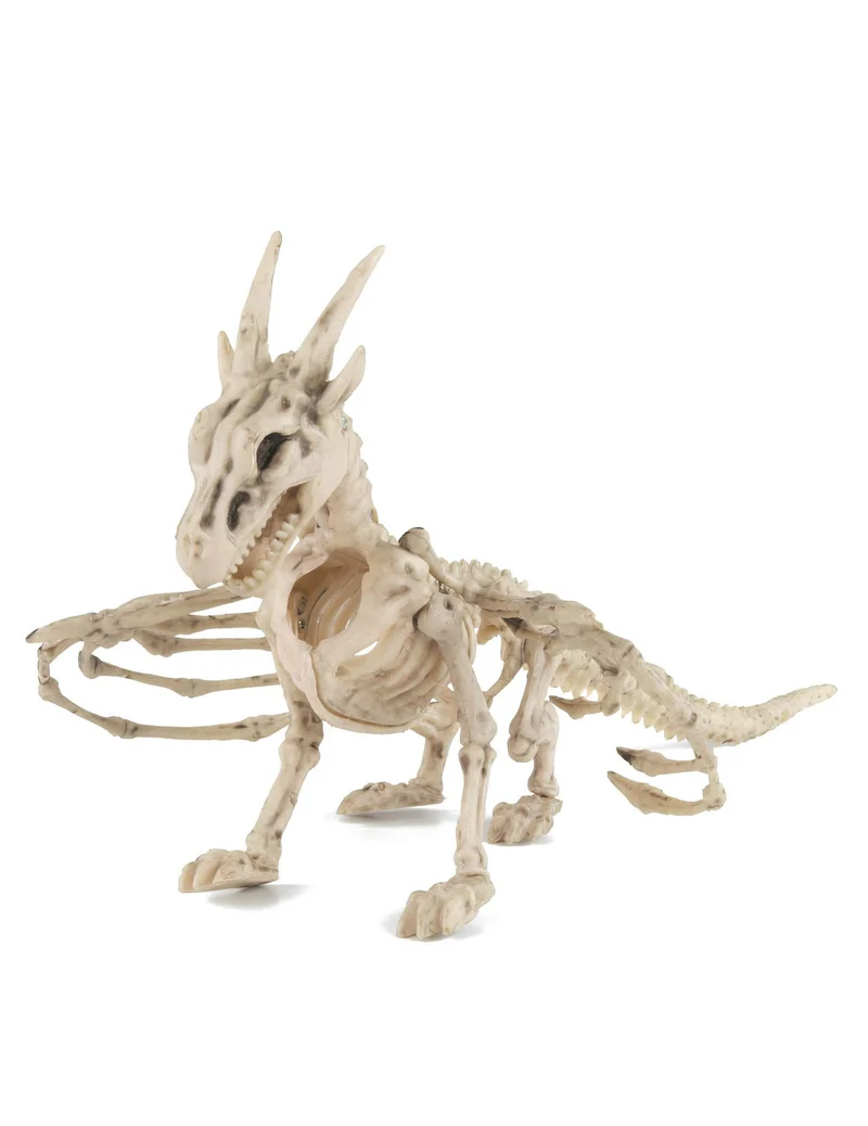 Drachenskelett 35cm