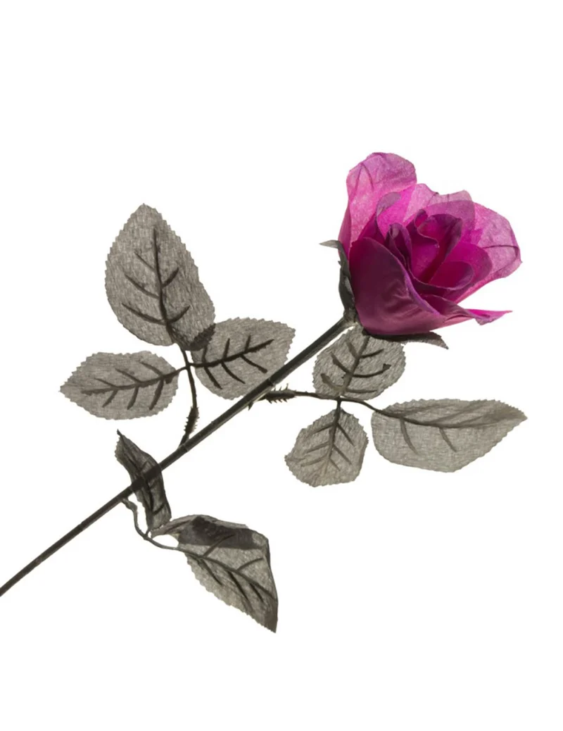 65 cm lange lila Rose