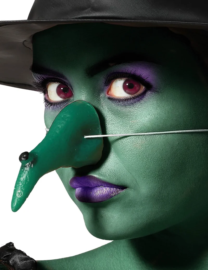 Grüne Hexen-Nase für Erwachsene Hakennase