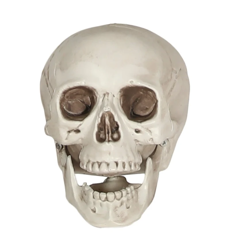 Weißer Totenkopf 20cm