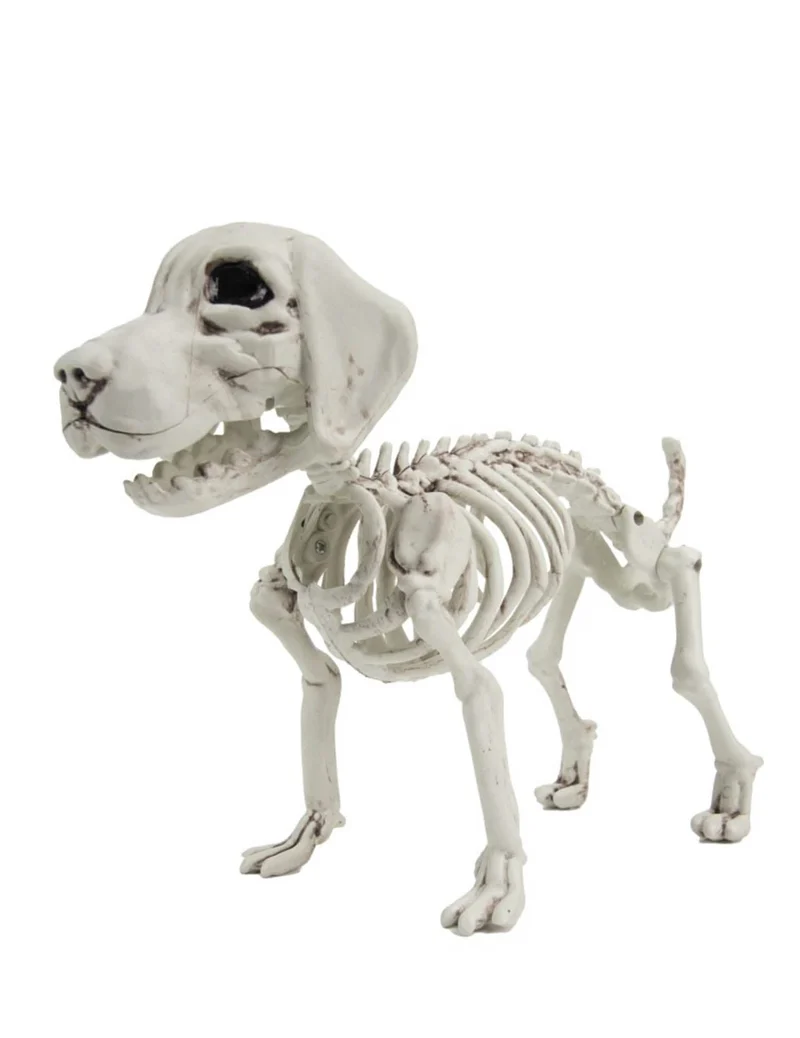 Hundeskelett 26cm