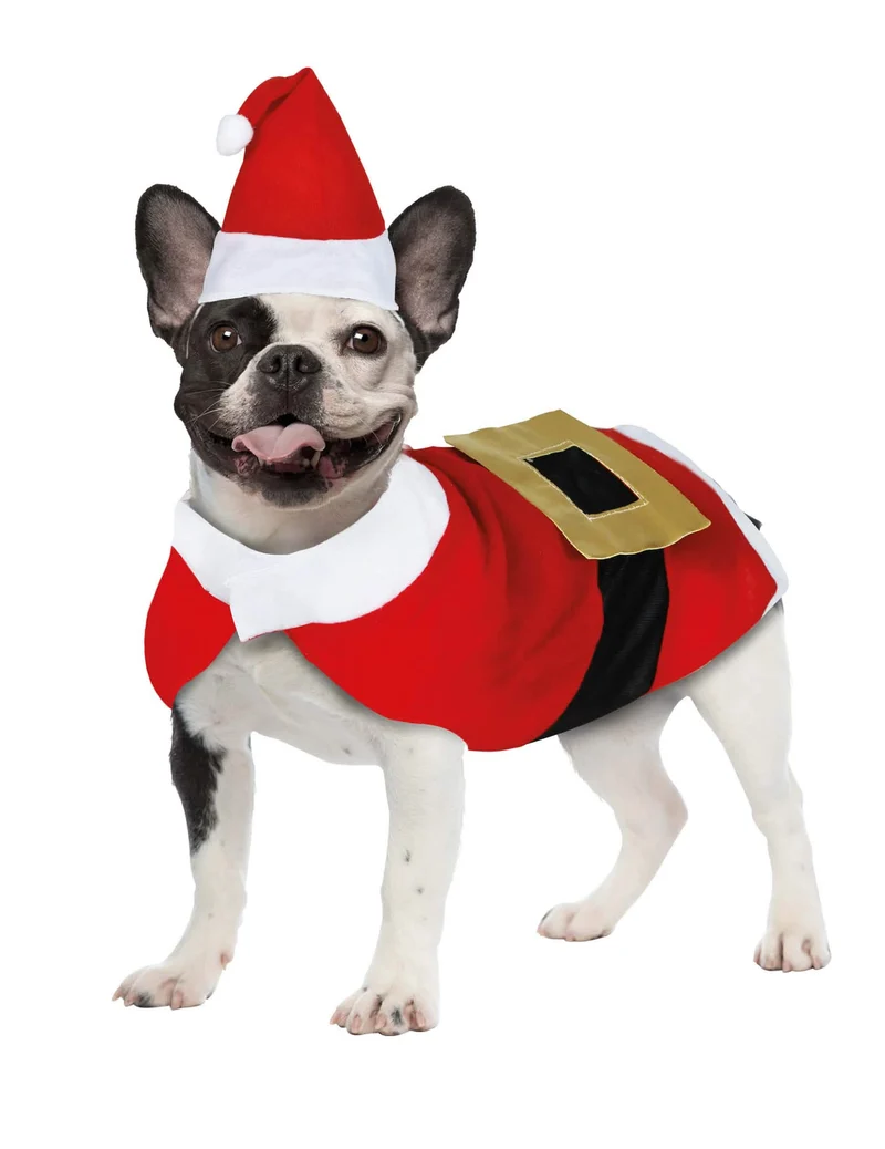 Weihnachtsmann-Kostüm für Hunde