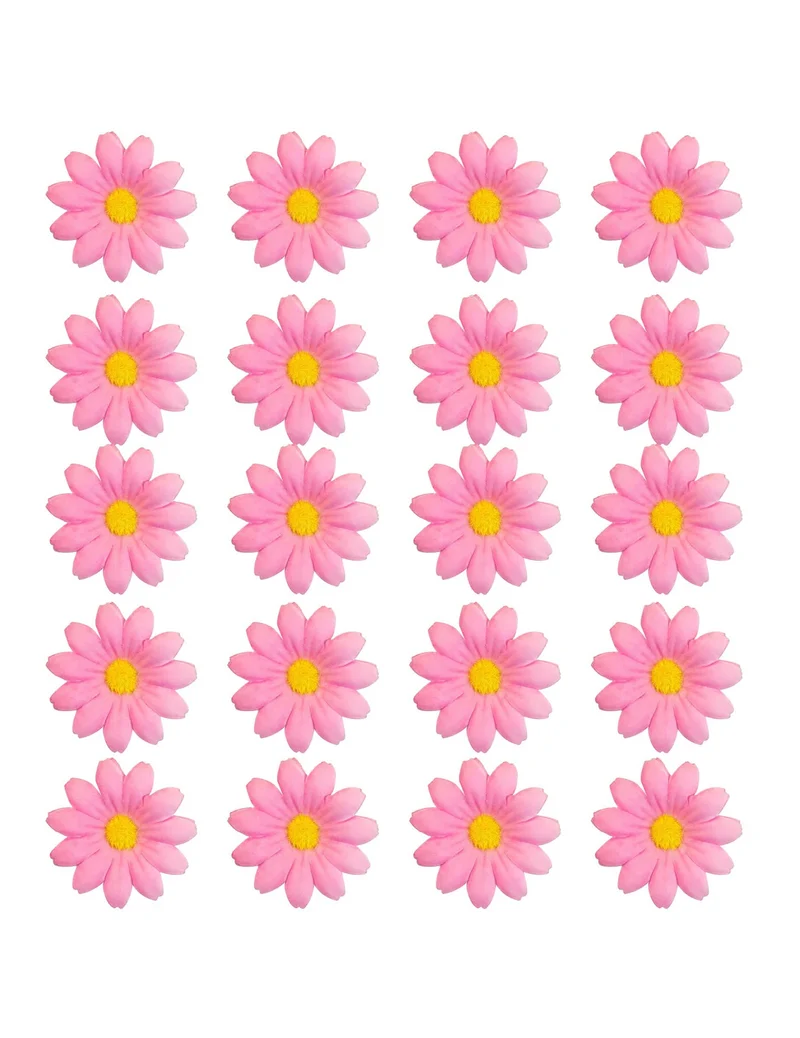 Box mit 20 hellrosa Margeritenblüten
