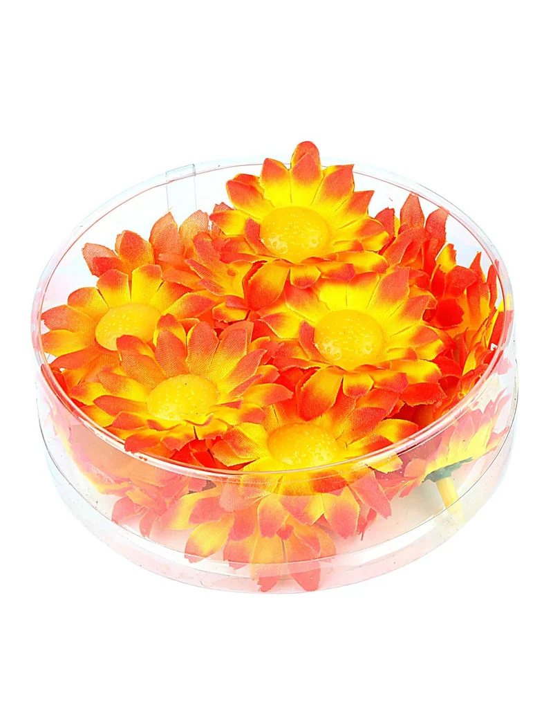 Box mit 20 gelb-orangefarbenen Margeritenblüten