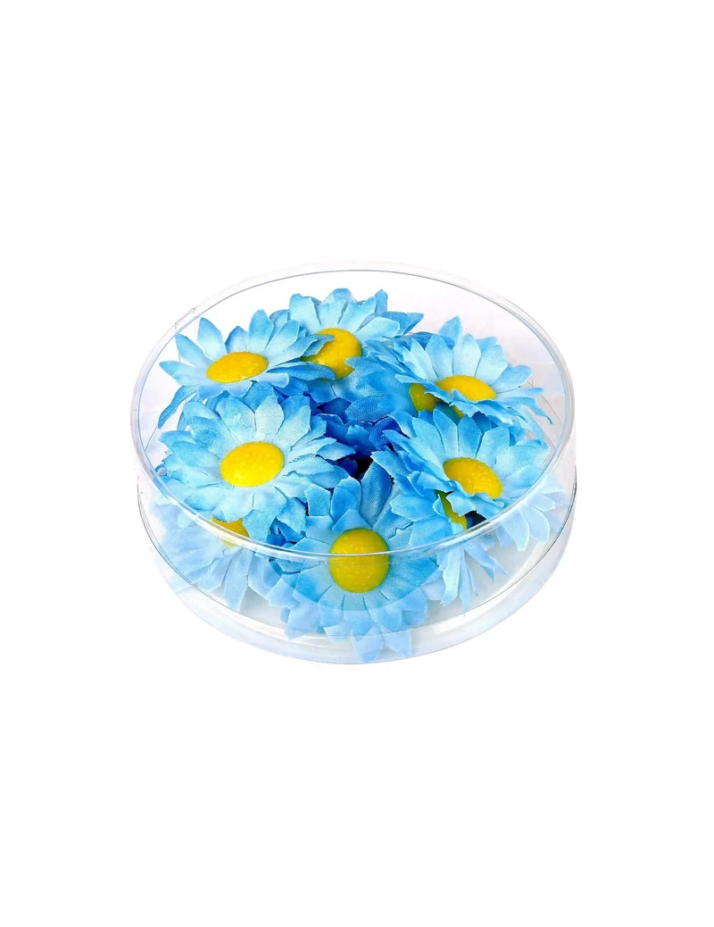 Box mit 20 blauen Margeriten-Blüten