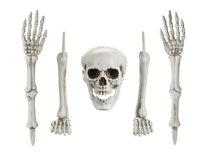 Halloween Skelett 5 Stück