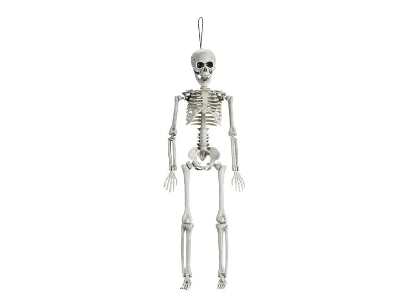Halloween Skelett Weiß 40cm