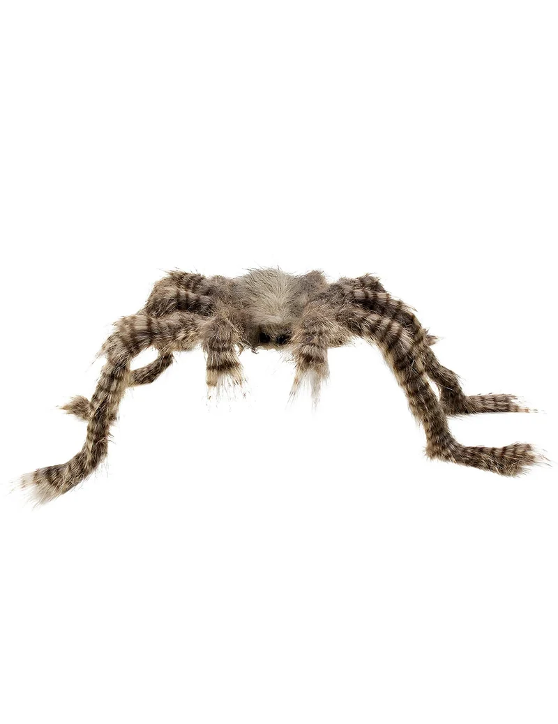 Braune Haarspinne 50 x 70 cm