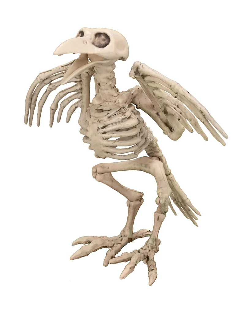 Gruseliger Skelett-Vogel beige 19,5cm
