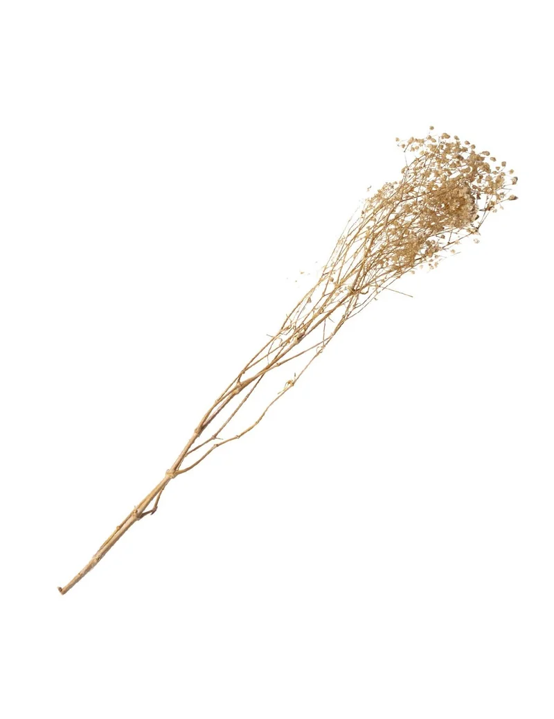 Trockenblumenstrauß Schleierkraut weiß 25 g Hochzeitsdeko