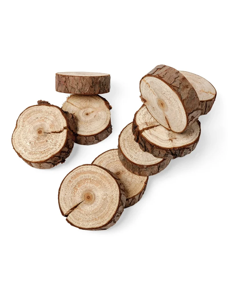 10 Mini-Holzscheiben Natur 5 cm mit Rinde