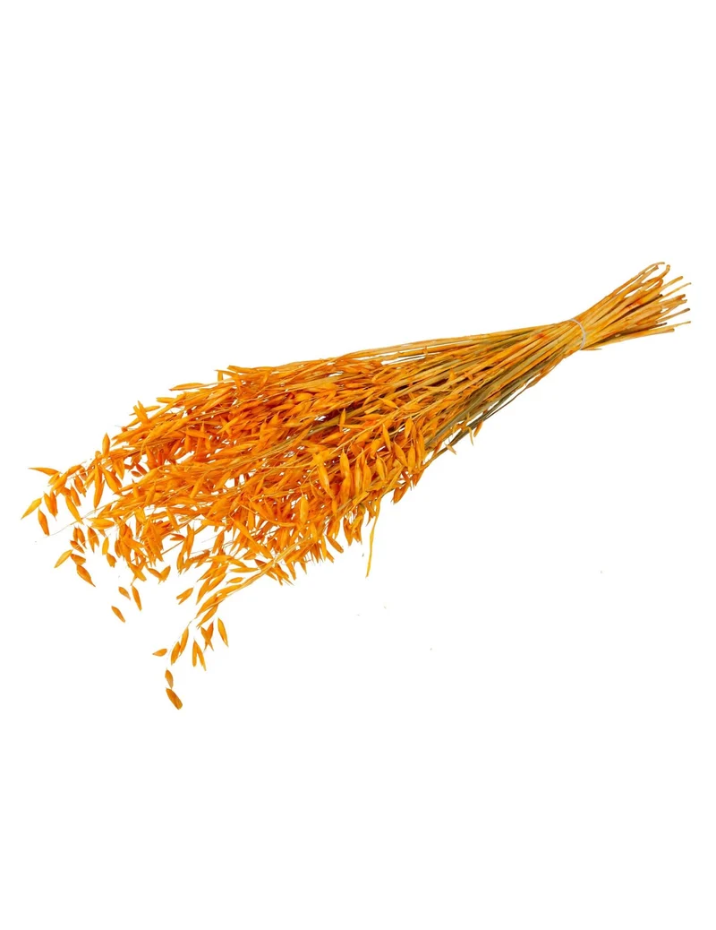 Getrockneter Haferstrauß Senf 70 cm 100 g