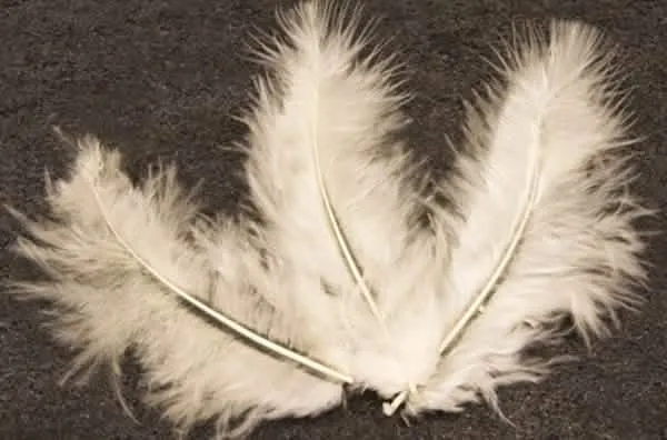 20 elfenbeinfarbene Dekorationsfedern 5,5 cm für Hochzeit