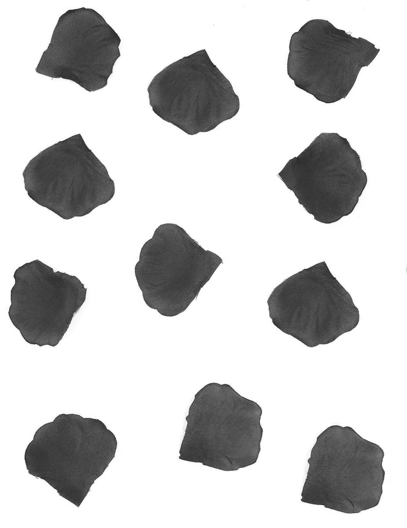 100 schwarze Stoffrosenblätter 5 cm für Tischdekoration