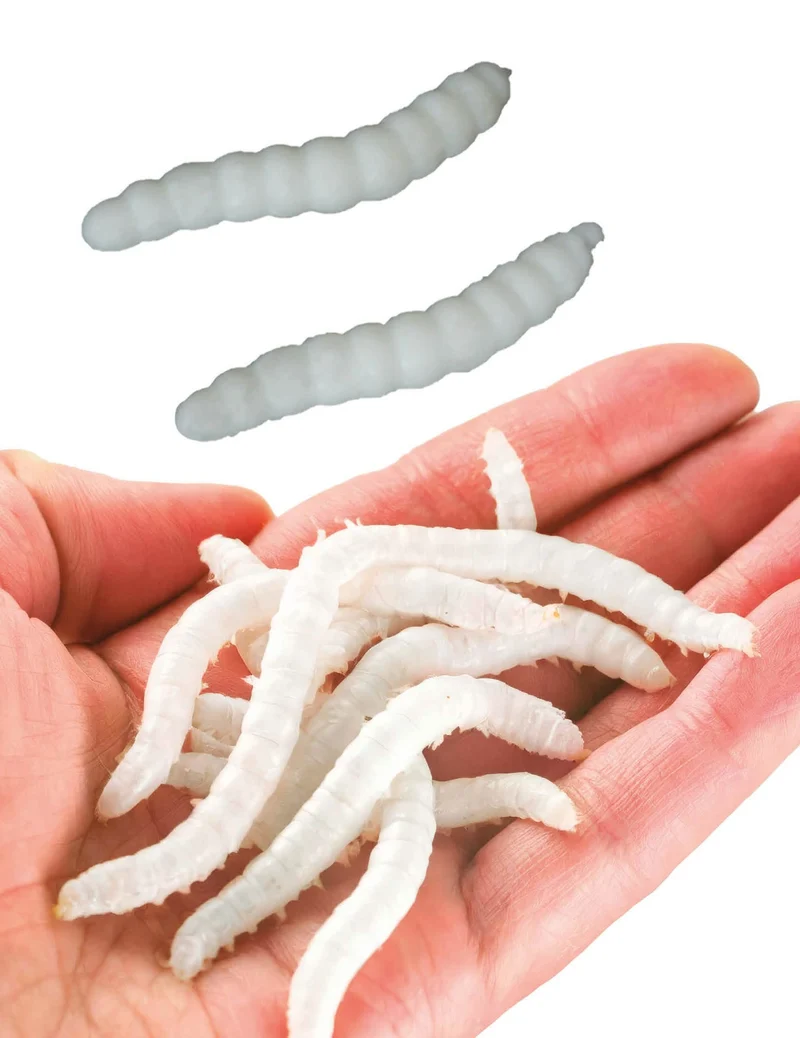 20 weiße Maden 4 cm Halloweendeko