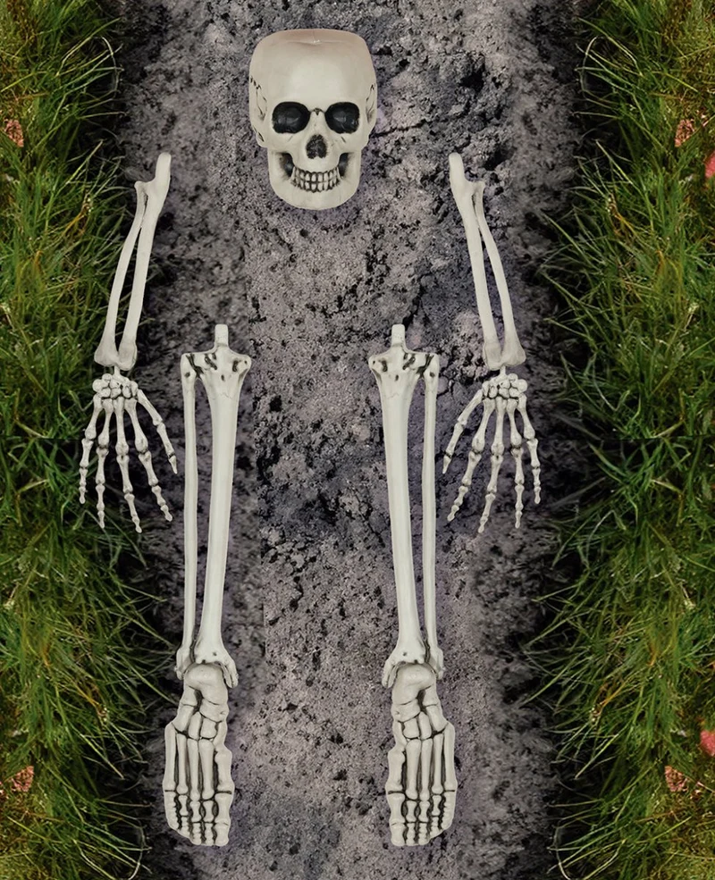 Halloween Skelett-Knochen 5 Stück