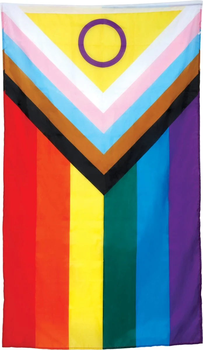 Regenbogenfahne 1,50 m